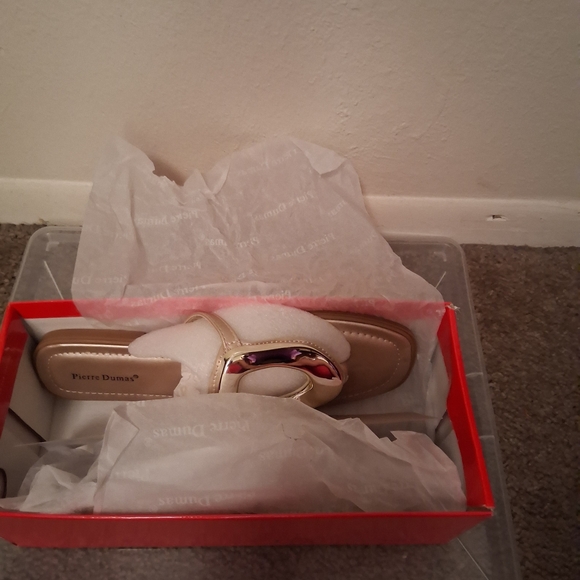 Pierre Dumas Women's Silver Sandals - Picture 6 of 6